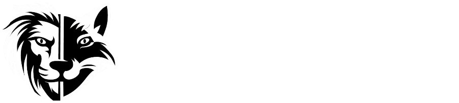 LionFox Development